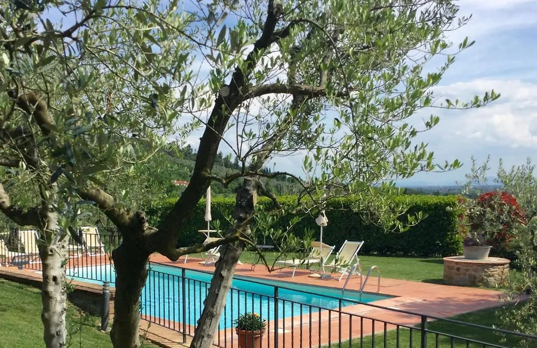 Agriturismo Borgo tra gli Olivi-1
